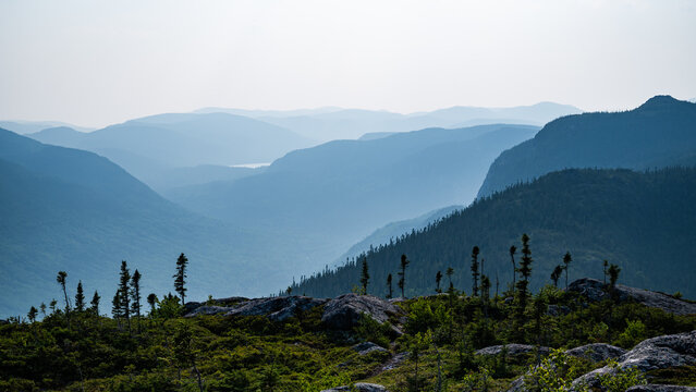 Hking accross silhouette of mountains above the fir forest through the wildfire smoke, Morios mountain in the Charlevoix region, Quebec, Canada.