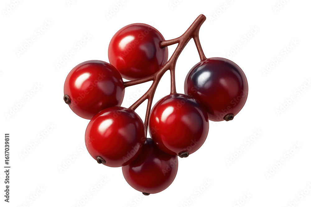 Poster realistic 3d rendering of a sprig of red currants isolated on a transparent background, perfect for 