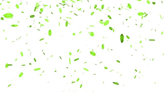 Abstract festive green leaves floating particles and sunlight on transparent background. Natural Green Leaves Falling &ndash; Isolated on Alpha Channel 4k stock video.