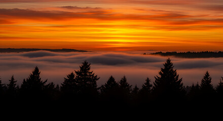 Obraz premium Fiery Sunrise over a Misty Forest Landscape