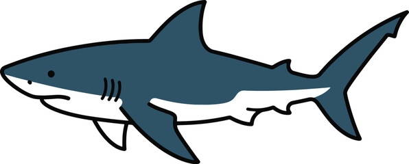shark vector illustration
