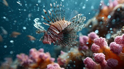 Lionfish among coral reefs