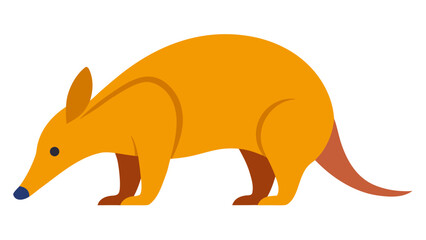 Obraz premium Orange Aardvark Sniffing Ground Low Angle View brown