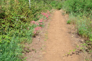 CAMINO DE TIERRA