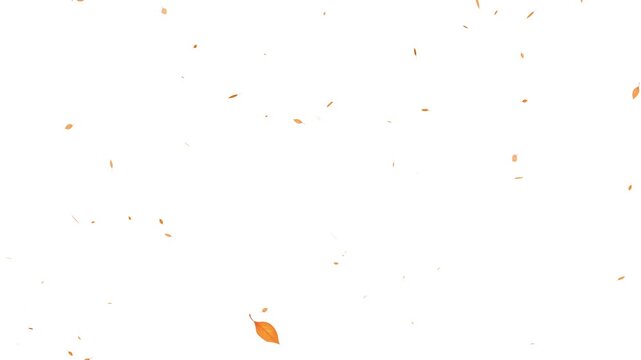 Autumn maple leaves falling animation. leaves falling down on green screen chroma key loopable background. 4k falling leaf animation with alpha channel.