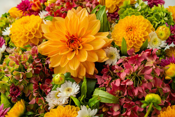 Autumn Fall Bouquet for Thanksgiving holiday. Seasonal Warm colorful blossom flowers arrangement...