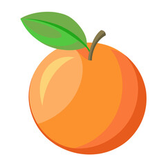 vector illustration of an orange