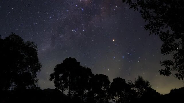 timelapse movimento via l&aacute;ctea com silhuetas das &aacute;rvores 