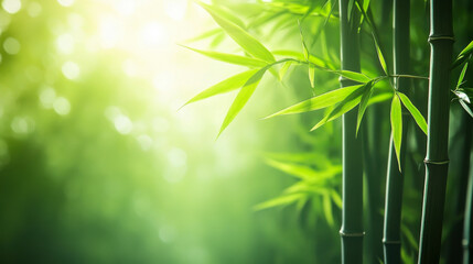 Close-up of bamboo forest, centered composition, natural artistic conception
