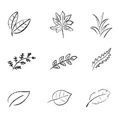 Fototapeta premium Vector set of black and white leaf