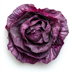 Obraz premium Red cabbage one slice isolated on white background