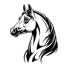 Elegant black and white illustration of a horse head in profile