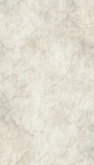 Obraz premium Subtle organic ivory textured background pattern