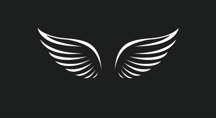 Obraz premium White stylized wings symmetrically displayed against a dark background, evoking a sense of freedom and flight.