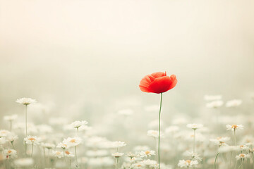 Obraz premium Gift Box of Red Wine Bottles in Crate