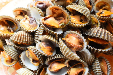 ripe fresh cockle on plate, delicious food in restaurant