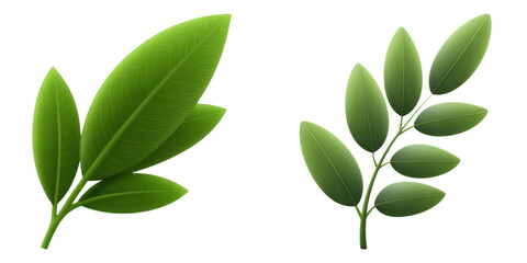 Naklejka premium Green leaf set with fresh natural foliage and healthy plant growth, vibrant leaves showing detailed texture and veins