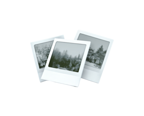 Three overlapping vintage-style photos, grayscale images, on white photo frames