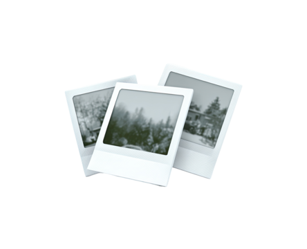 Three overlapping vintage-style photos, grayscale images, on white photo frames