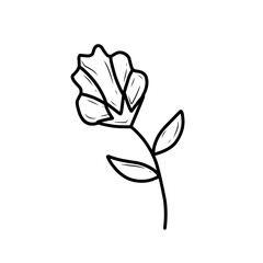 flower handdrawn illustration