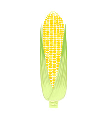 水彩風白い背景の皮つきとうもろこし