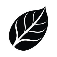 Coffee day vector art of a single leaf with veins, isolated