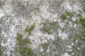 Weathered and cracked concrete wall, displaying age and texture. backgrounds or urban themes