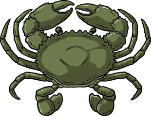 Vector Cartoon Hand Drawn Fresh Green Mud Crab