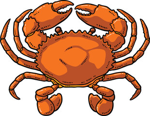 Vector Cartoon Hand Drawn Orange Cooked Mud Crab