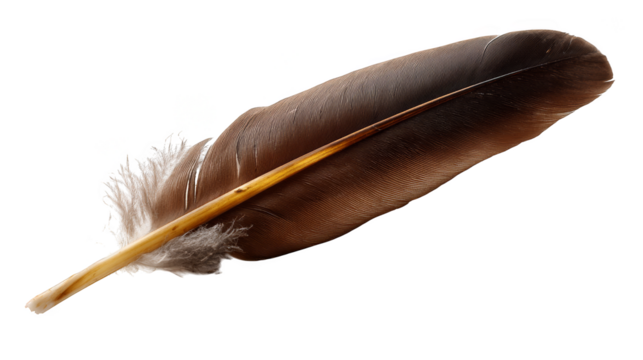 Golden touch, a macro exploration of feather's delicate design and vibrant yellow tip