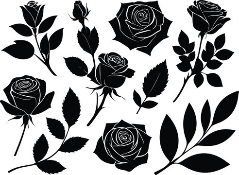 Black rose silhouettes with leaves roses floral  style vector illustration EPS file download