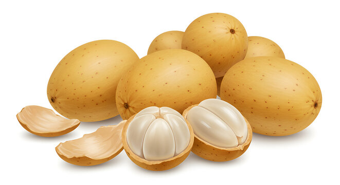 Fresh langsat or duku fruit with white background, showing whole and peeled fruits with translucent flesh.