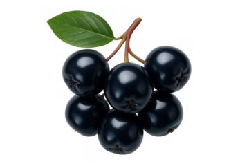 Close-up of deep purple aronia berries resting near green leaf, highlighting glossy surface and dark, intense coloration