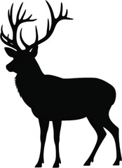 Obraz premium Majestic Stag With Large Antlers deer animal