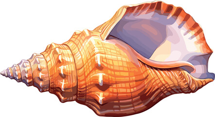 Watercolor conch shell illustration. Animal watercolor illustration.