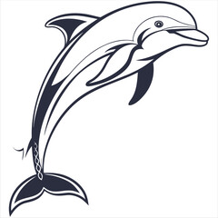 dolphin vector illustration