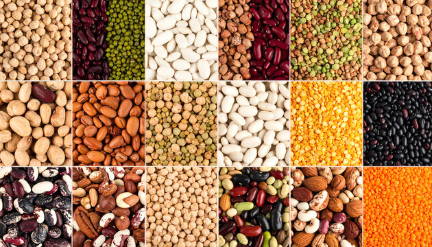 A vibrant array of various legumes and nuts, showcasing diverse shapes and colors, organized in a grid pattern for visual appeal