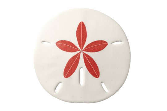 Decorative sand dollar displaying intricate red starfish pattern, closely viewed against transparent background