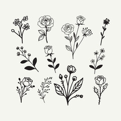 elegant black and white flower outline illustration for wedding design