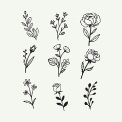 simple botanical line art flowers for wedding decor and cards