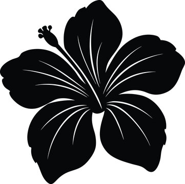 Tropical hibiscus flower silhouette isolated on transparent background