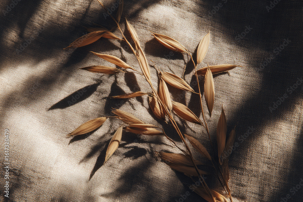 Poster soft light shadow of dried oat spikelets and crumbs on linen napkin, creating calm and rustic atmosp