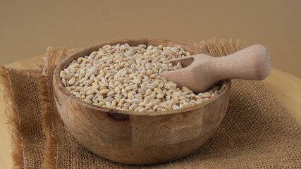 Pearl barley in neutral beige background. Whole spelt grain species. High protein fiber-rich vegan plant based food ingredient. Gluten free superfood healthy nutritional dietary alternative food 
