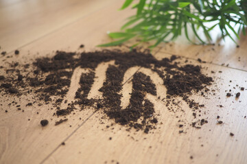 Soil spread on wooden floor with plant leaves nearby