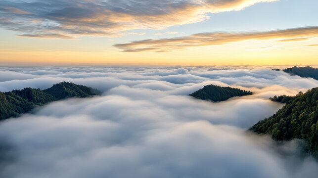 Soft dawn sky blends with low fog over rolling hills, creating serene landscape