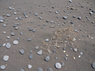 Fragments of ancient pottery weathered from the sand on Ainu settlement archeological site on Iturup, Kuril Islands