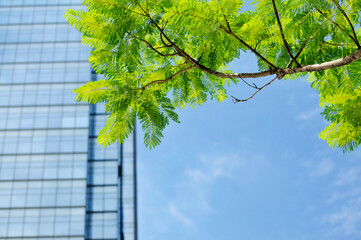Modern office building with green trees