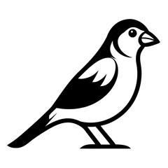 bird on a white background vector