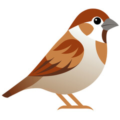 vector illustration of a bird