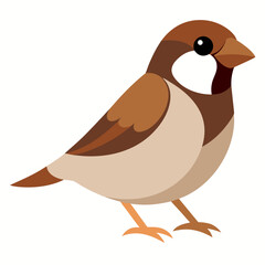 bird on a white background